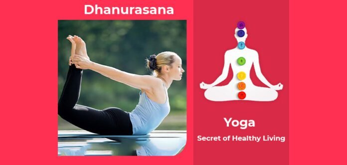 How to do Dhanurasana, Its Benefits & Precautions
