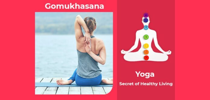 How to do Gomukhasana, Its Benefits & Precautions