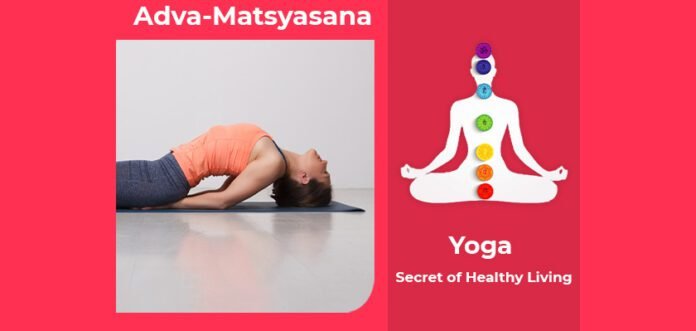 How to do Adva Matsyasana, Its Benefits & Precautions