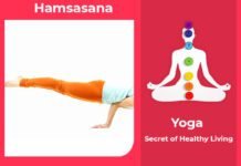 How to do Hamsasana, Its Benefits & Precautions