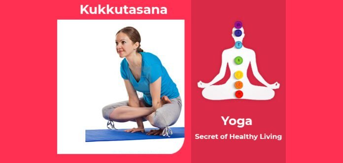 How to do Kukkutasana, Its Benefits & Precautions
