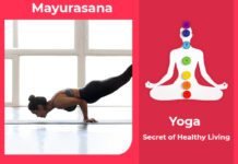 How to do Mayurasana, Its Benefits & Precautions