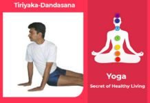 How to do Tiriyaka Dandasana, Its Benefits & Precautions