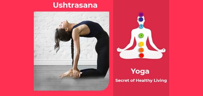 How to do Ushtrasana, Its Benefits & Precautions