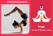 How to do Vrishchikasana, Its Benefits & Precautions