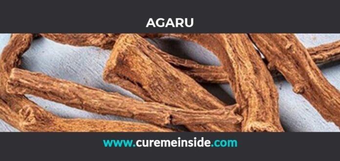 Agaru: Health Benefits, Side Effects, Uses, Dosage, Interactions