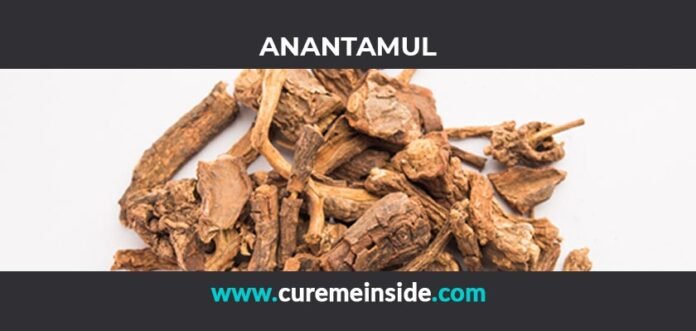 Anantamul: Health Benefits, Side Effects, Uses, Dosage, Interactions