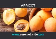 Apricot: Health Benefits, Side Effects, Uses, Dosage, Interactions