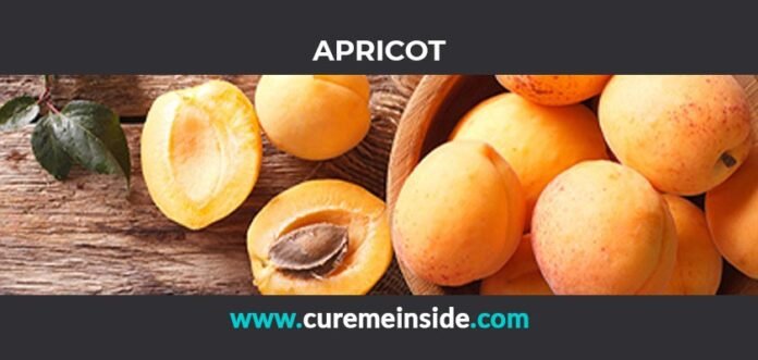Apricot: Health Benefits, Side Effects, Uses, Dosage, Interactions