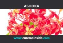 Ashoka: Health Benefits, Side Effects, Uses, Dosage, Interactions