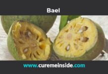 Bael: Health Benefits, Side Effects, Uses, Dosage, Interactions