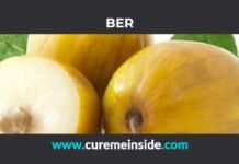 Ber: Health Benefits, Side Effects, Uses, Dosage, Interactions