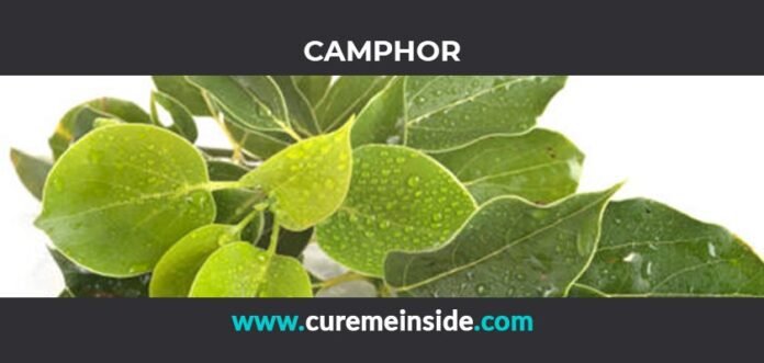 Camphor: Health Benefits, Side Effects, Uses, Dosage, Interactions