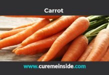 Carrot: Health Benefits, Side Effects, Uses, Dosage, Interactions