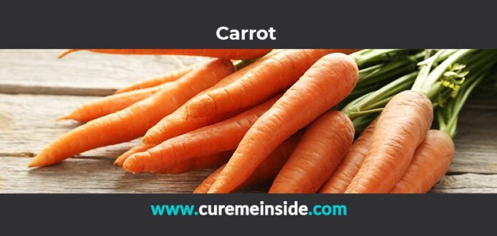 Carrot: Health Benefits, Side Effects, Uses, Dosage, Interactions