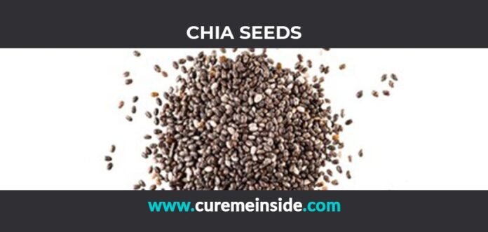 Chia Seeds: Health Benefits, Side Effects, Uses, Dosage, Interactions