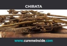 Chirata: Health Benefits, Side Effects, Uses, Dosage, Interactions