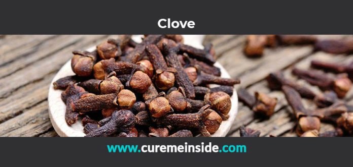 Clove: Health Benefits, Side Effects, Uses, Dosage, Interactions