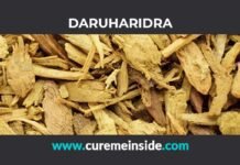Daruharidra: Health Benefits, Side Effects, Uses, Dosage, Interactions