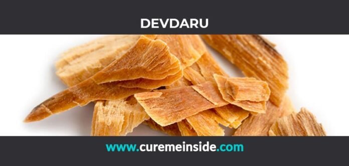Devdaru: Health Benefits, Side Effects, Uses, Dosage, Interactions