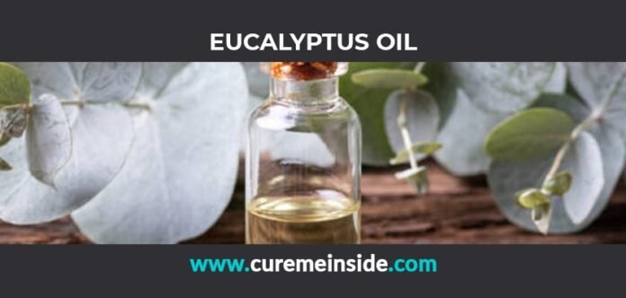 Eucalyptus Oil: Health Benefits, Side Effects, Uses, Dosage, Interactions