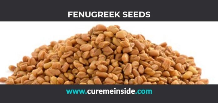 Fenugreek Seeds: Health Benefits, Side Effects, Uses, Dosage, Interactions