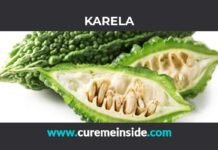 Karela: Health Benefits, Side Effects, Uses, Dosage, Interactions