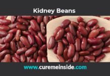 Kidney Beans: Health Benefits, Side Effects, Uses, Dosage, Interactions