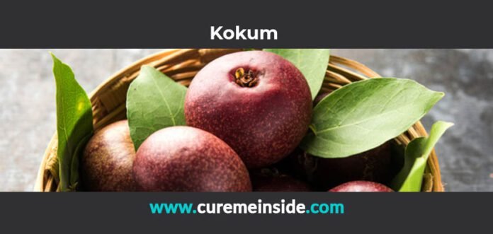 Kokum: Health Benefits, Side Effects, Uses, Dosage, Interactions
