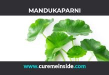 Mandukaparni: Health Benefits, Side Effects, Uses, Dosage, Interactions