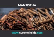 Manjistha: Health Benefits, Side Effects, Uses, Dosage, Interactions