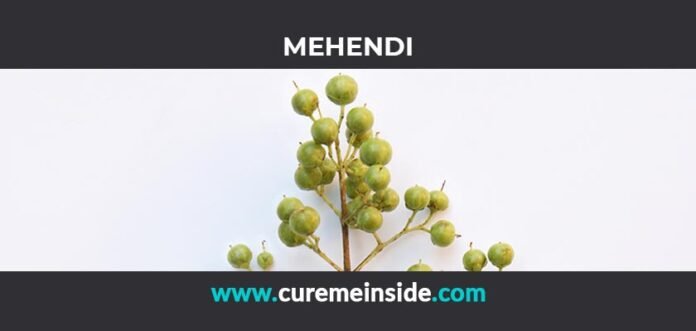 Mehendi: Health Benefits, Side Effects, Uses, Dosage, Interactions