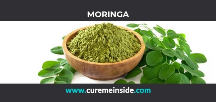Moringa: Health Benefits, Side Effects, Uses, Dosage, Interactions