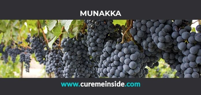 Munakka: Health Benefits, Side Effects, Uses, Dosage, Interactions