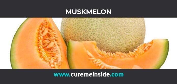 Muskmelon: Health Benefits, Side Effects, Uses, Dosage, Interactions