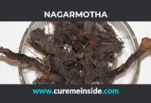 Nagarmotha: Health Benefits, Side Effects, Uses, Dosage, Interactions