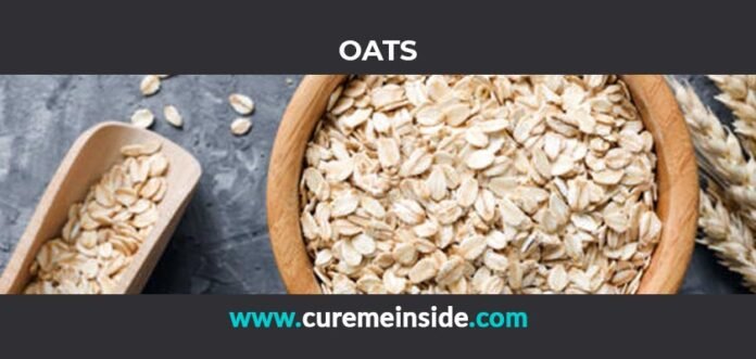 Oats: Health Benefits, Side Effects, Uses, Dosage, Interactions