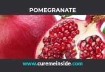 Pomegranate: Health Benefits, Side Effects, Uses, Dosage, Interactions