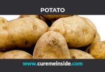 Potato: Health Benefits, Side Effects, Uses, Dosage, Interactions