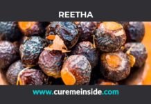 Reetha: Health Benefits, Side Effects, Uses, Dosage, Interactions