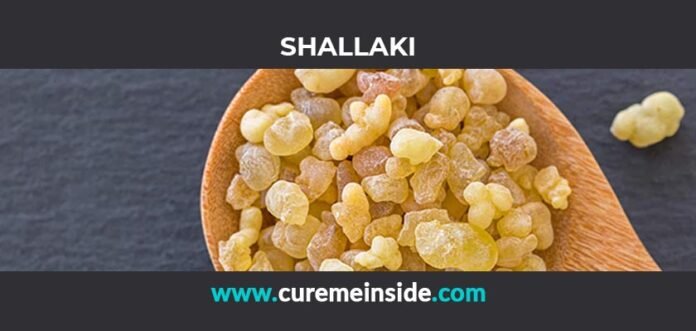 Shallaki: Health Benefits, Side Effects, Uses, Dosage, Interactions