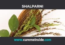 Shalparni: Health Benefits, Side Effects, Uses, Dosage, Interactions