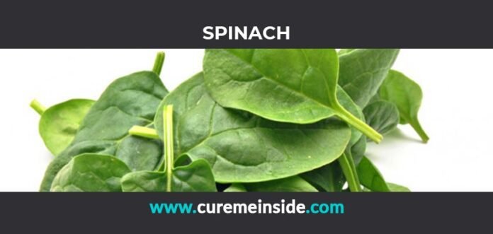 Spinach: Health Benefits, Side Effects, Uses, Dosage, Interactions