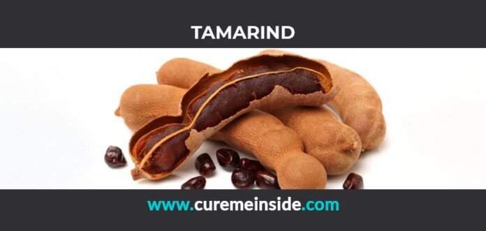 Tamarind: Health Benefits, Side Effects, Uses, Dosage, Interactions