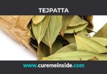 Tejpatta: Health Benefits, Side Effects, Uses, Dosage, Interactions