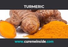 Turmeric: Health Benefits, Side Effects, Uses, Dosage, Interactions