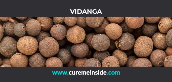 Vidanga: Health Benefits, Side Effects, Uses, Dosage, Interactions