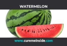 Watermelon: Health Benefits, Side Effects, Uses, Dosage, Interactions