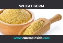 Wheat: Health Benefits, Side Effects, Uses, Dosage, Interactions