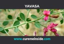 Yavasa: Health Benefits, Side Effects, Uses, Dosage, Interactions